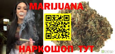индика Нягань