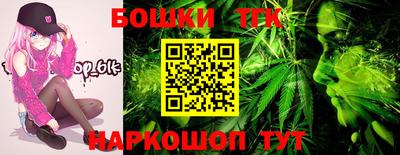 индика Нягань