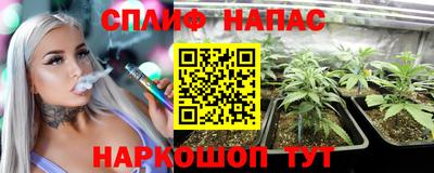 индика Нягань
