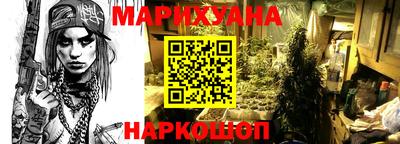 индика Нягань