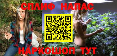 индика Нягань