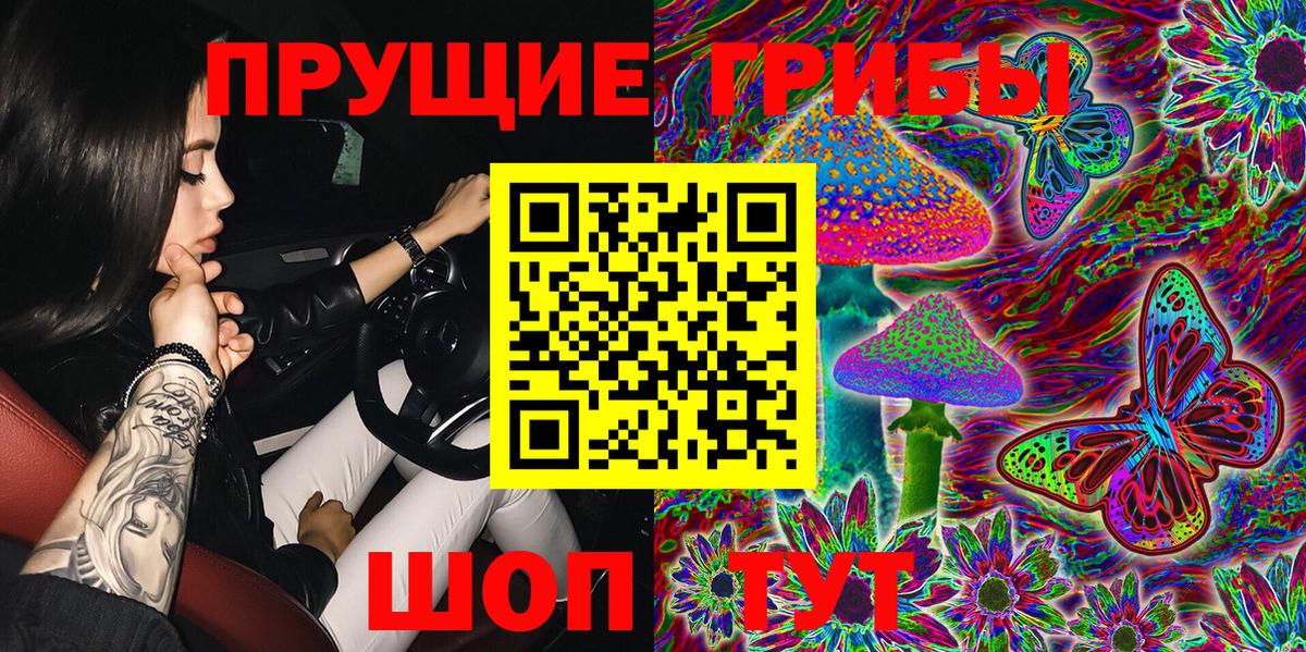 Галлюциногенные грибы GOLDEN TEACHER Сокол