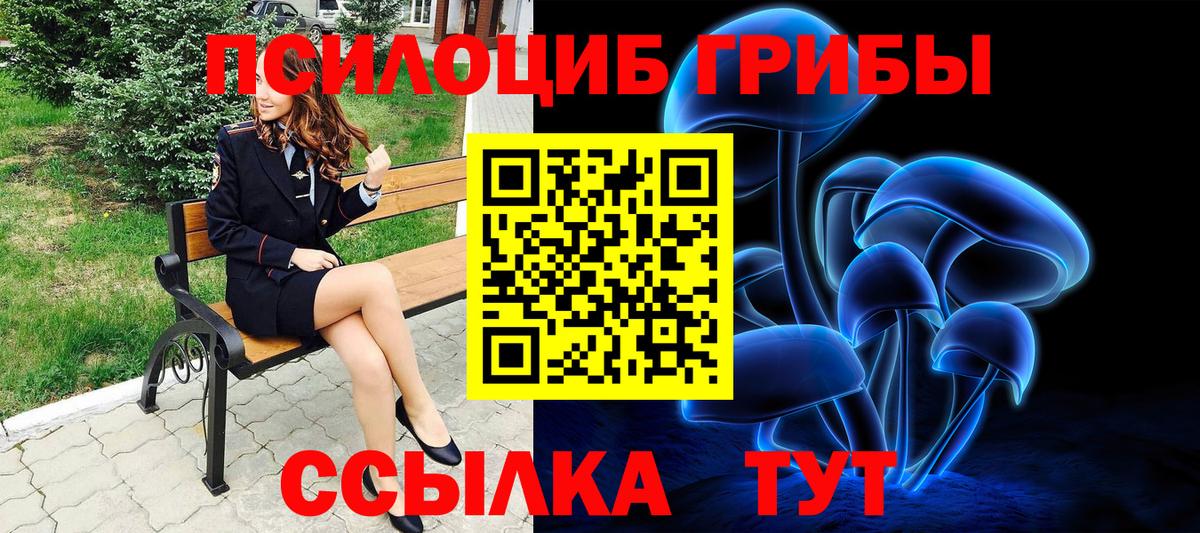 Сокол  Псилоцибиновые грибы мухоморы  Вход с VPN 